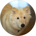 Erin Purcell profile picture