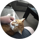 Edward Strieff profile picture