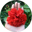 Porna Dasgupta profile picture